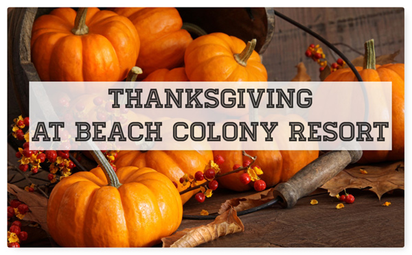 Thanksgiving at Beach Colony Resort