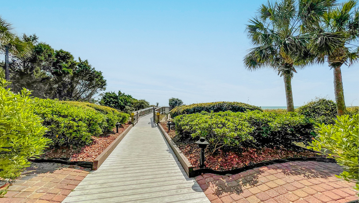 A wooden boardwalk leads through a landscaped area with green bushes and a palm tree, ending at a body of water.