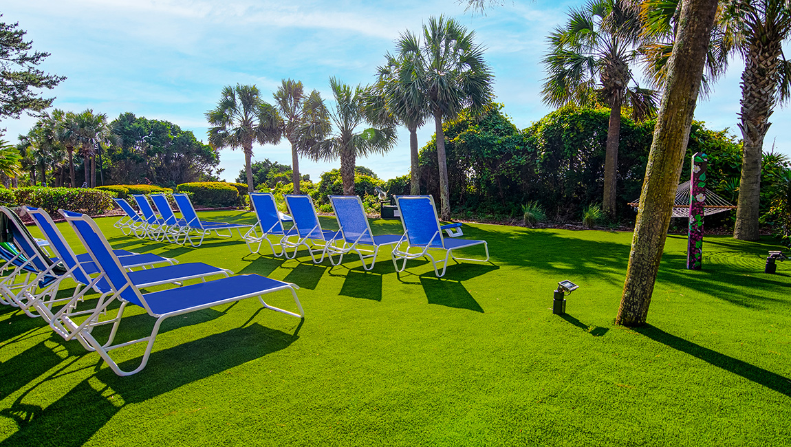 A row of blue lounge chairs on green grass with palm trees in the background.